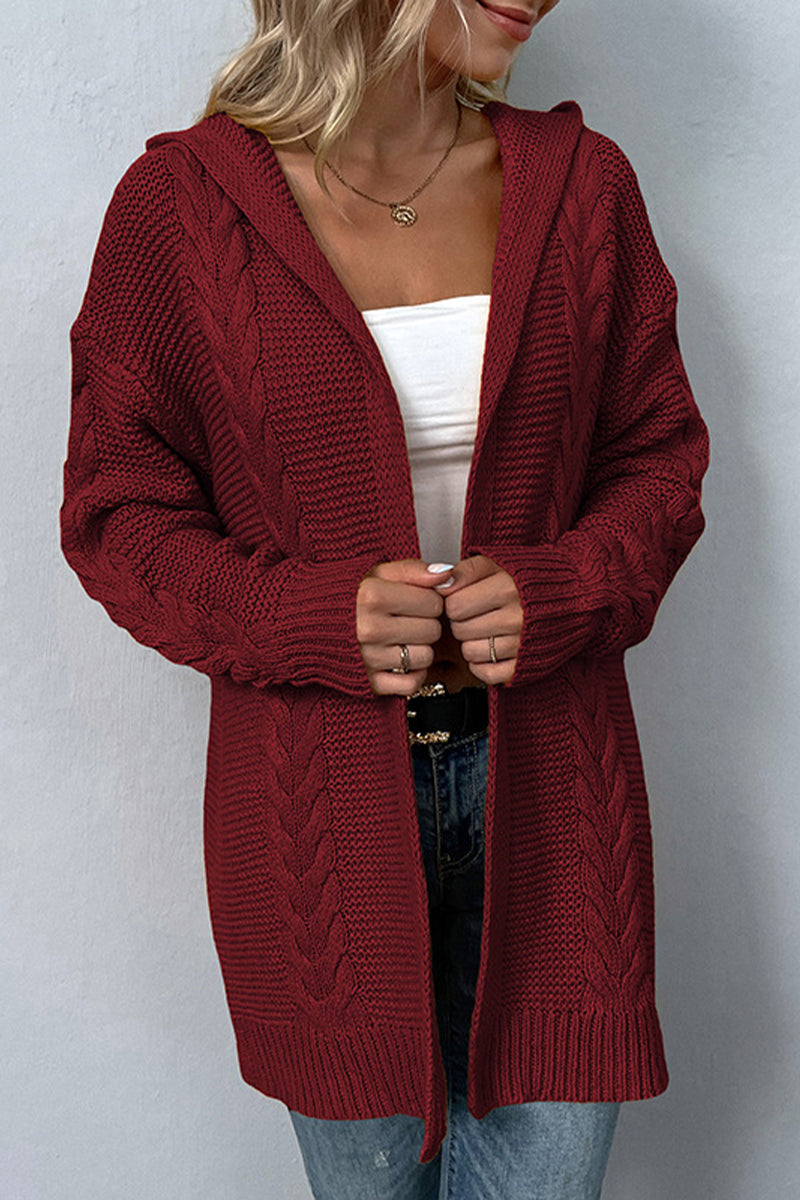 Solid Color Hooded Twist Cardigan Sweater