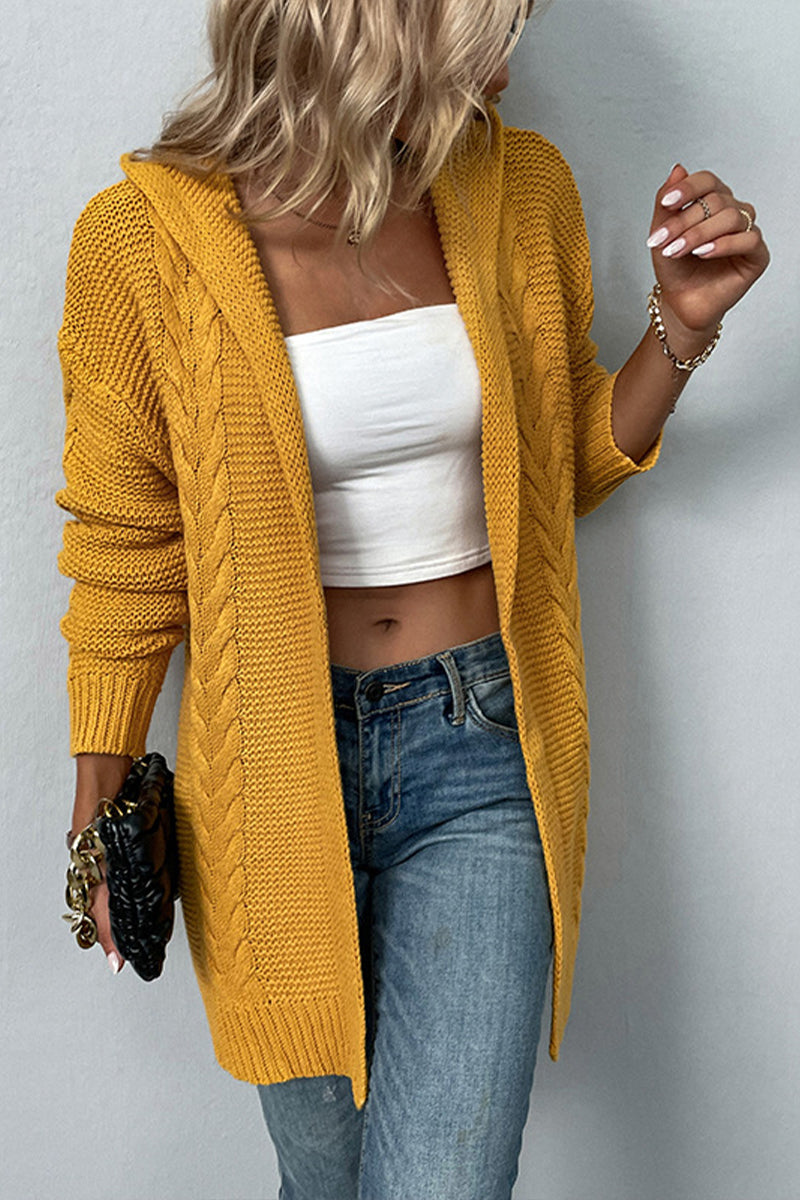 Solid Color Hooded Twist Cardigan Sweater