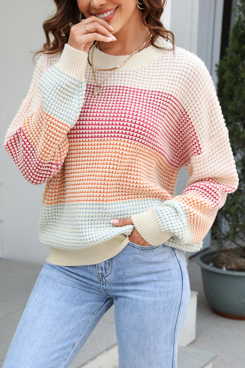 Color Contrast Round Neck Knit Sweater