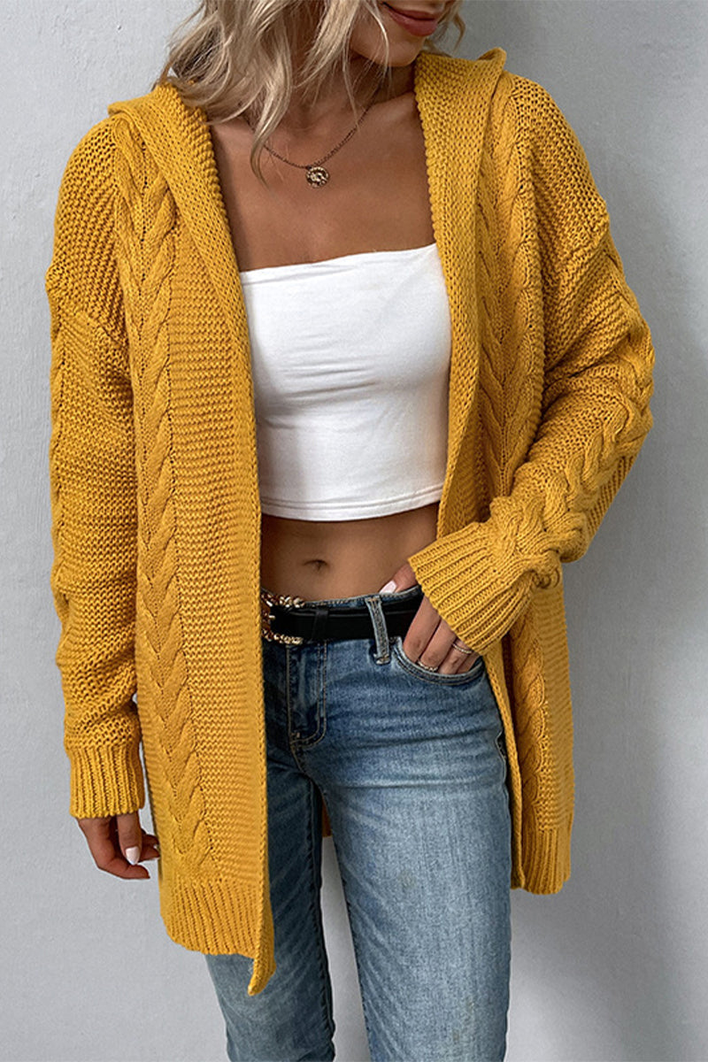 Solid Color Hooded Twist Cardigan Sweater