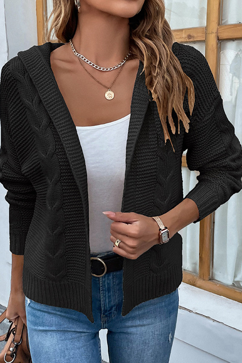 Solid Color Hooded Twist Cardigan Sweater