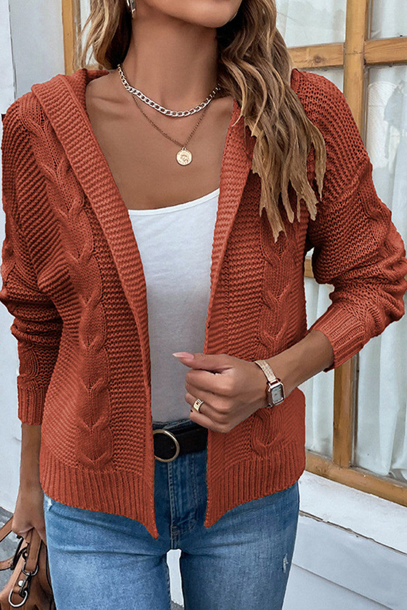 Solid Color Hooded Twist Cardigan Sweater