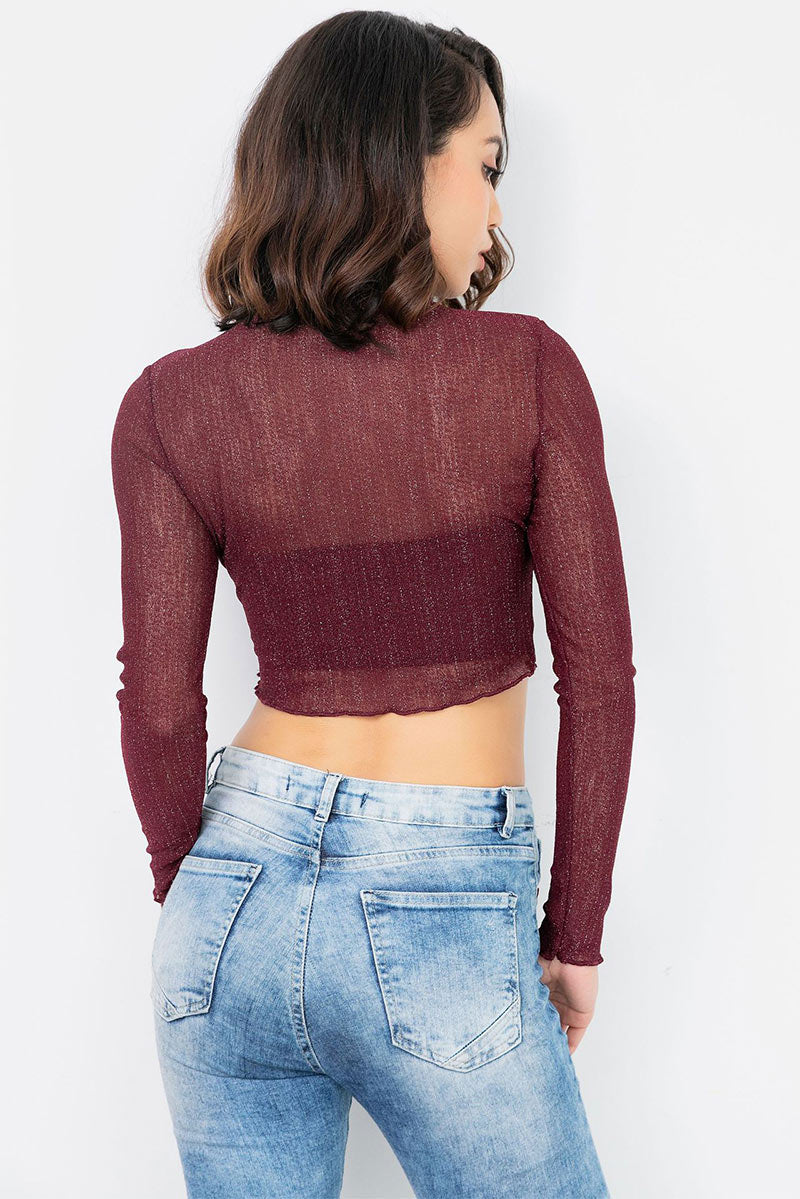 Burgundy High Neck Crop Knit Blouse With Long Sleeves