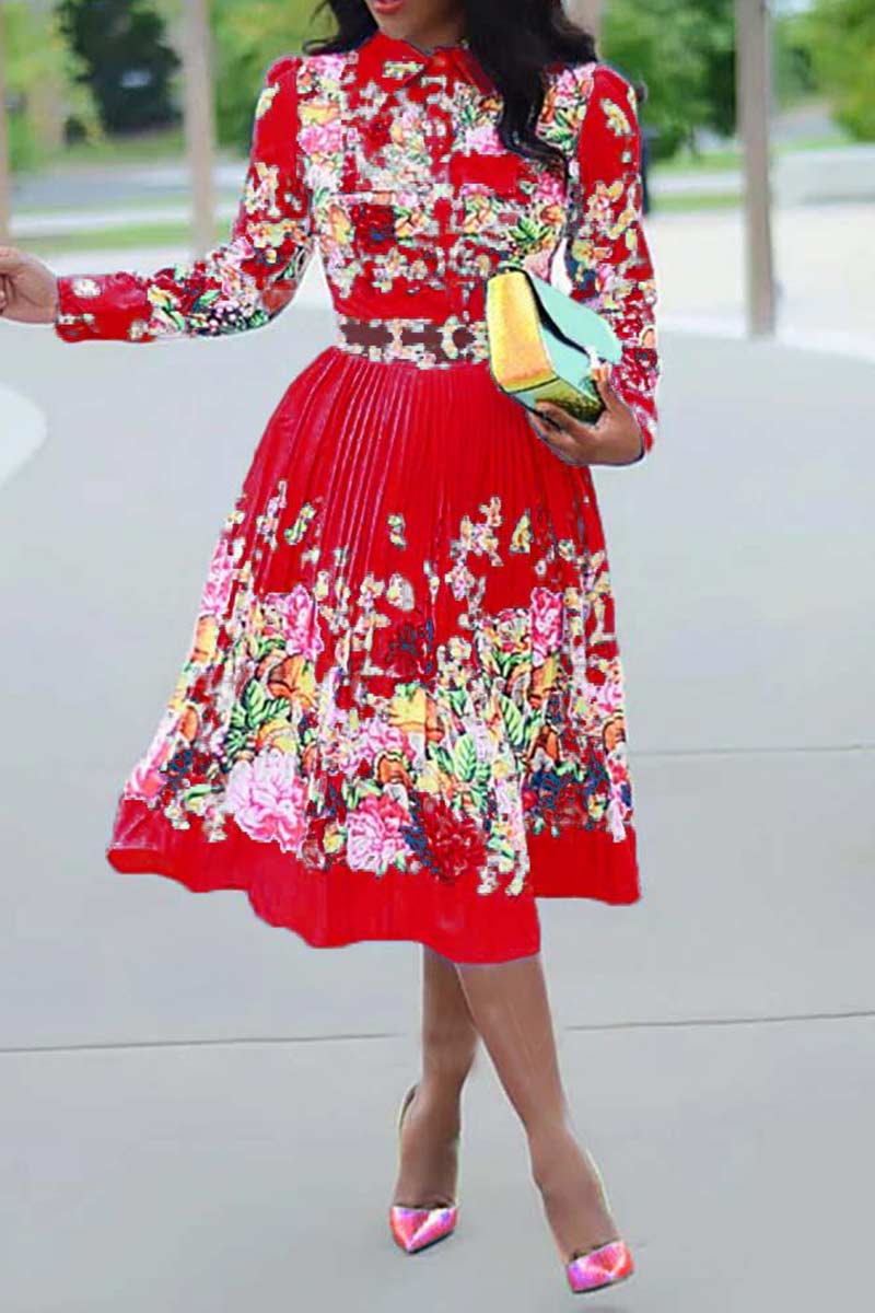 Fashion Long Sleeve Pleated Print Dresses