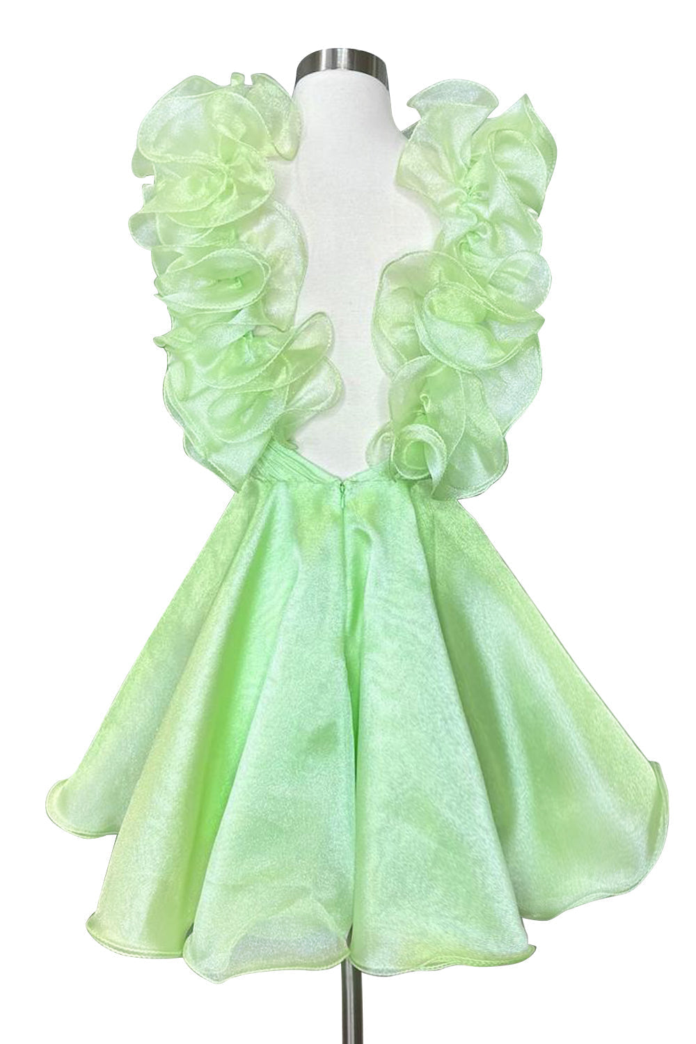 Nerissa A-Line Organza V-Neck Homecoming Dress