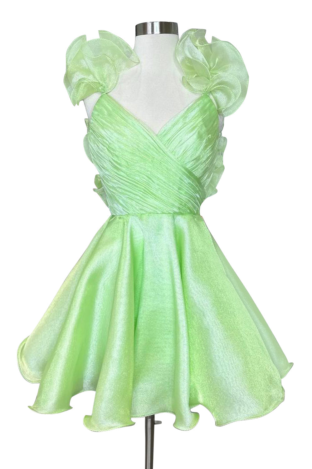 Nerissa A-Line Organza V-Neck Homecoming Dress