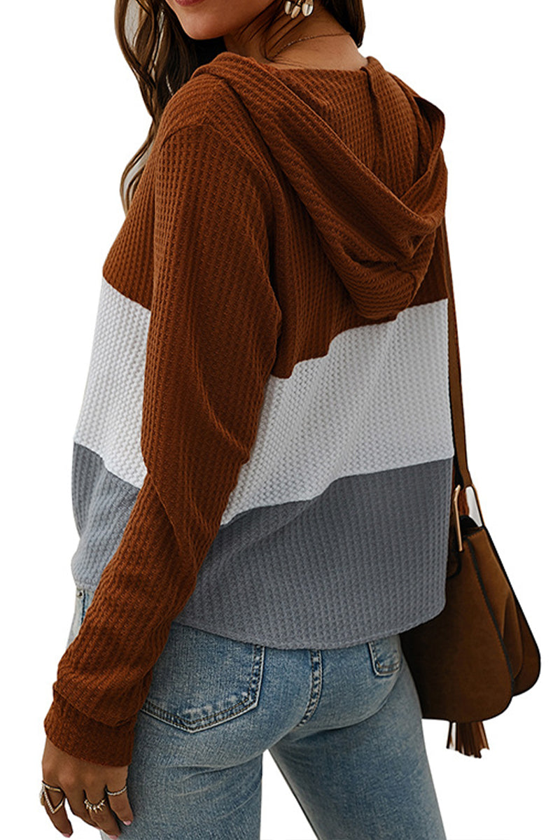 Knitted Color-block Hooded Top