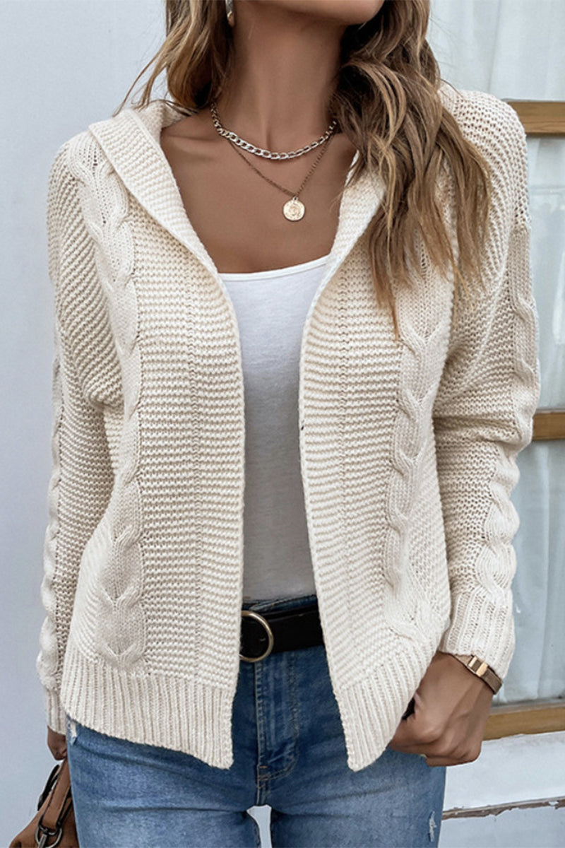 Solid Color Hooded Twist Cardigan Sweater