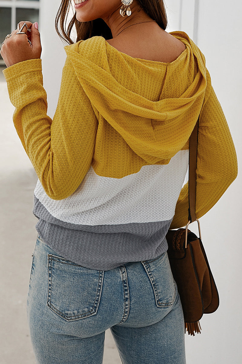 Knitted Color-block Hooded Top