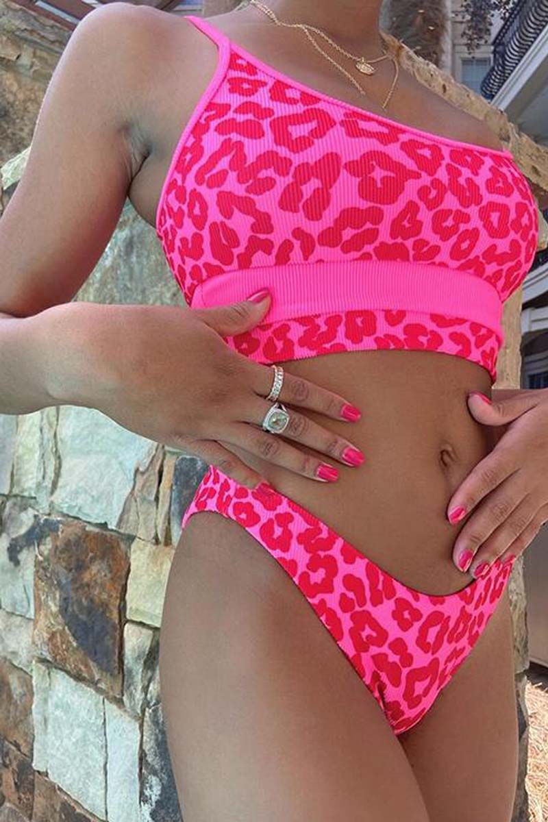 Leopard High Waisted Two pieces Swimsuit