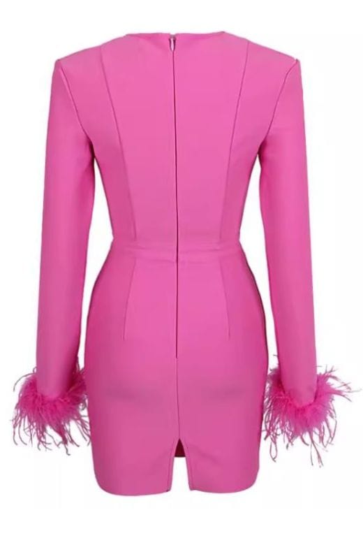 Erin Long Sleeve Bodycon Mini Dress - Hot Pink