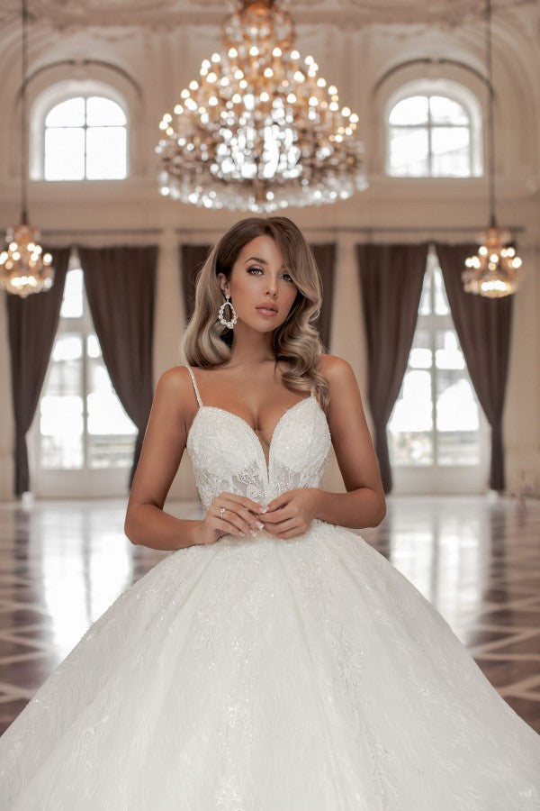 Gorgeous Long A-Line V-Neck Sleeveless Princess Wedding Gown with Lace