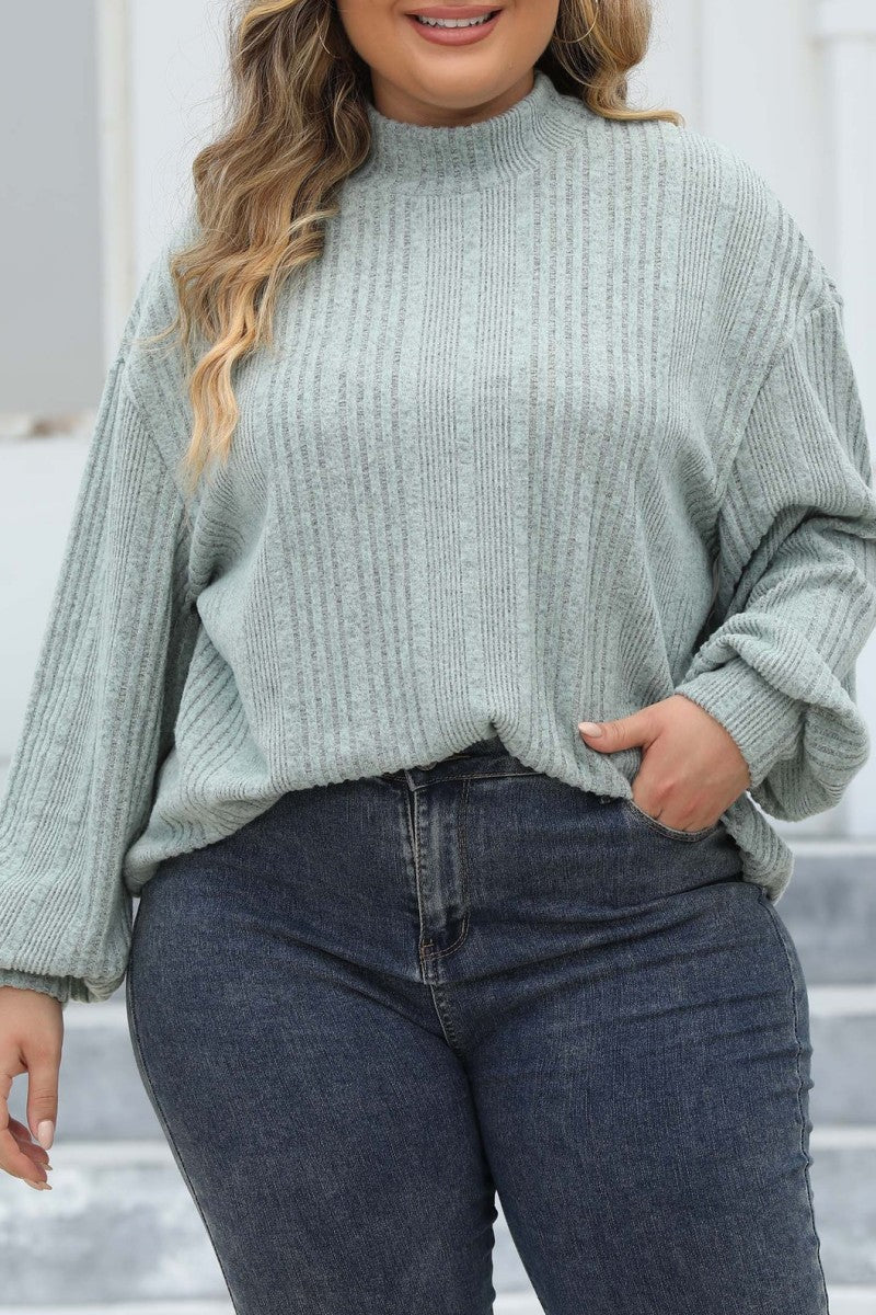 Casual Solid Basic Turtleneck Plus Size Tops