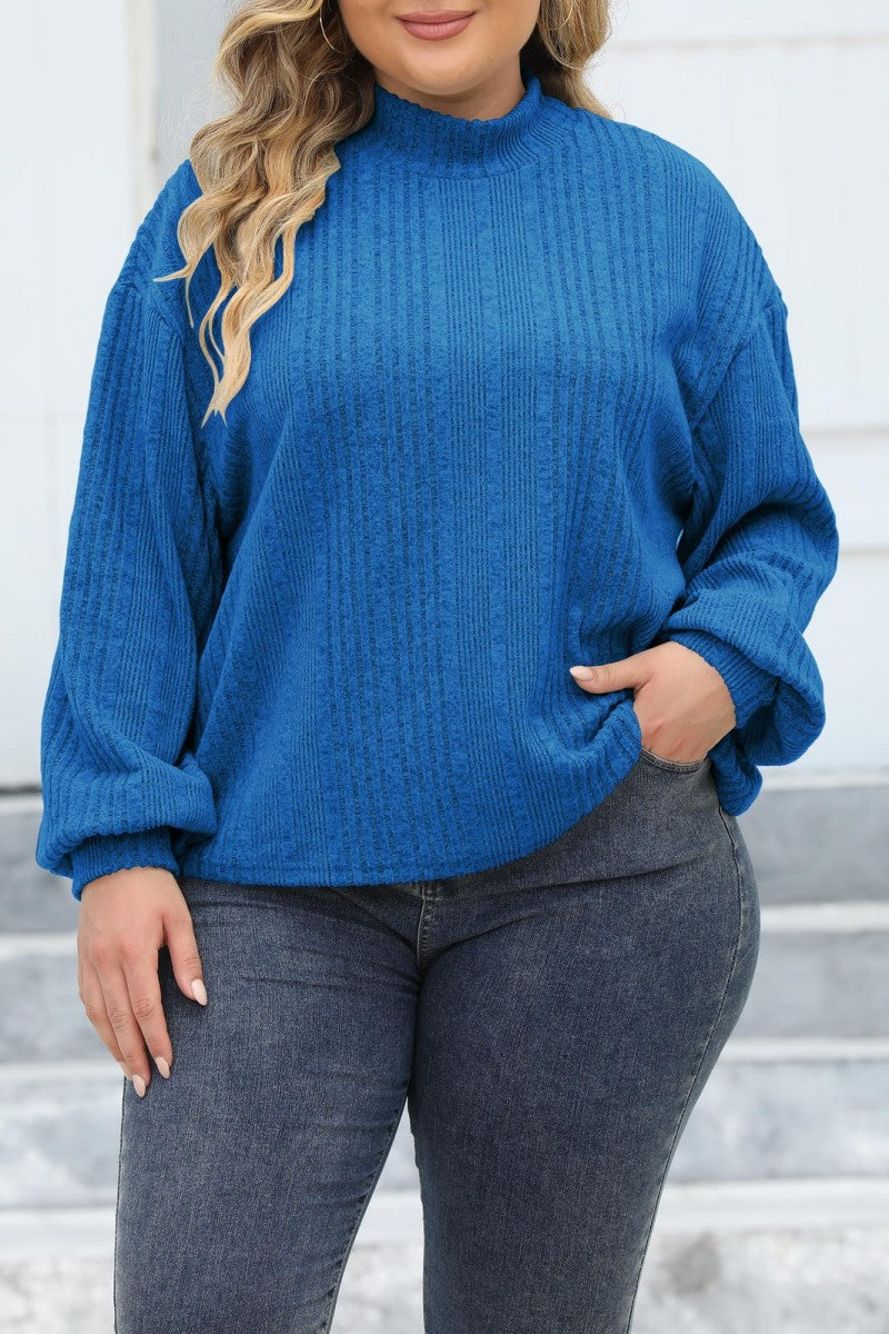 Casual Solid Basic Turtleneck Plus Size Tops