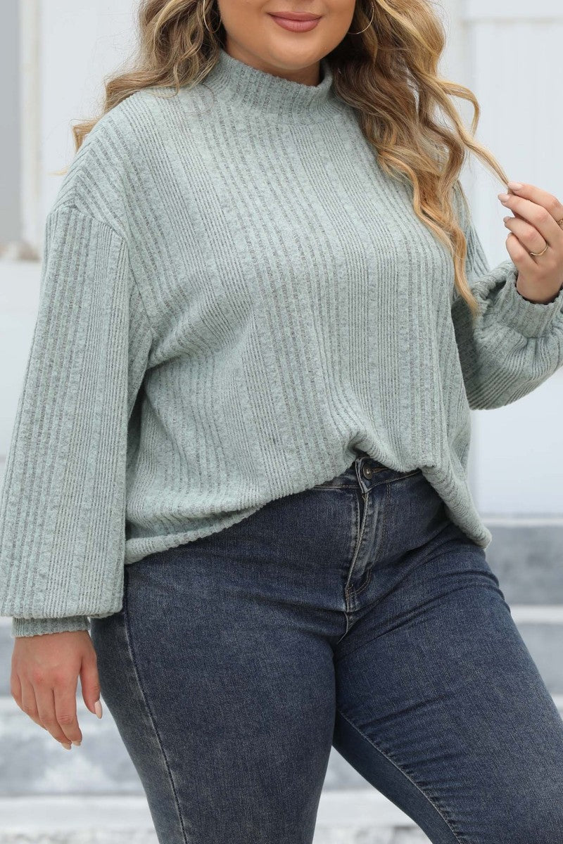 Casual Solid Basic Turtleneck Plus Size Tops