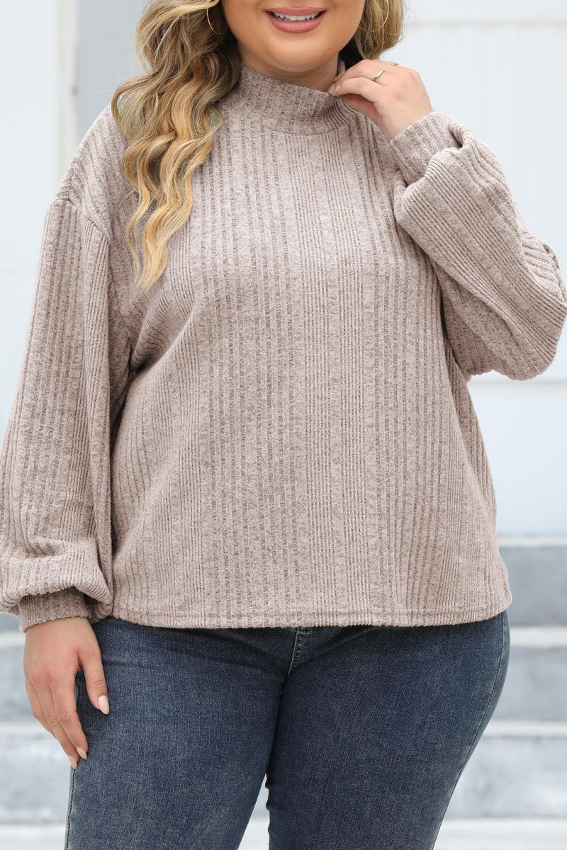 Casual Solid Basic Turtleneck Plus Size Tops