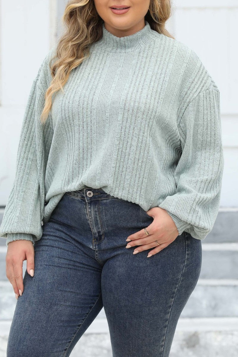 Casual Solid Basic Turtleneck Plus Size Tops