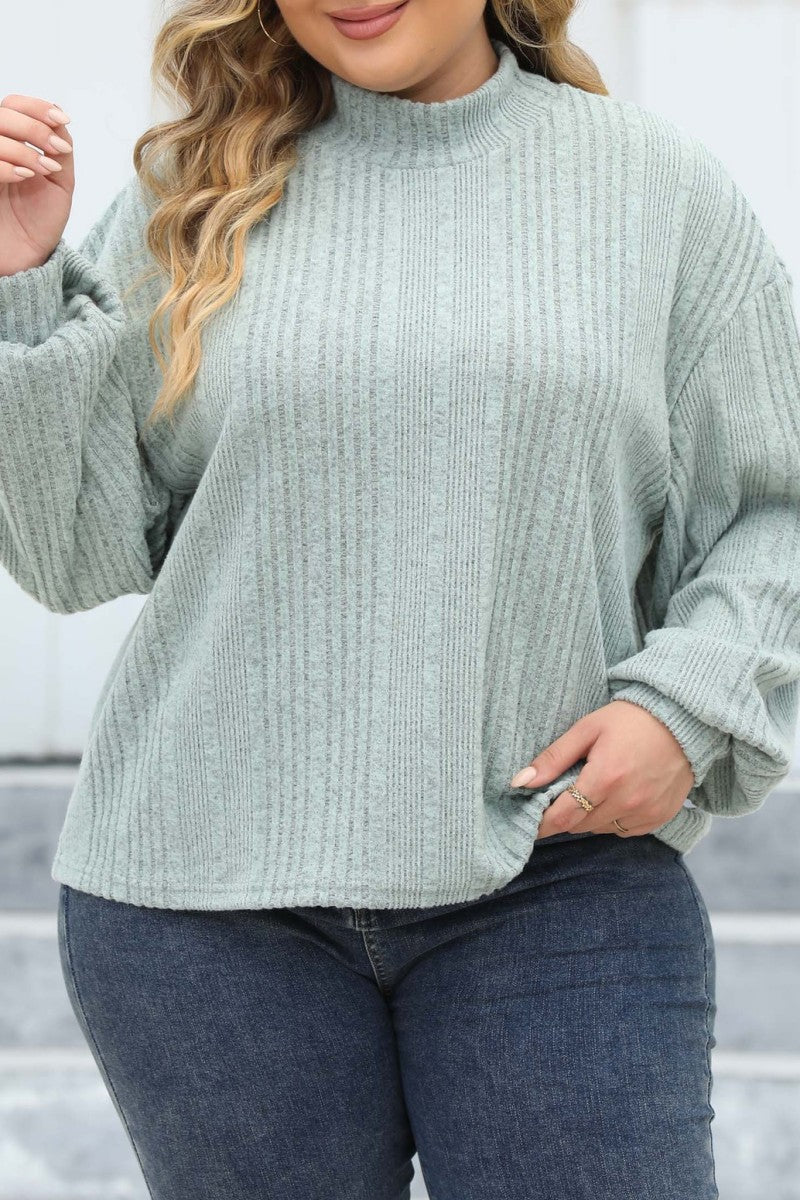 Casual Solid Basic Turtleneck Plus Size Tops