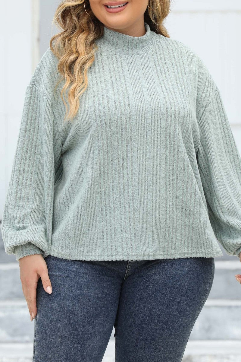 Casual Solid Basic Turtleneck Plus Size Tops