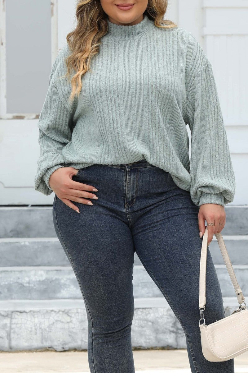 Casual Solid Basic Turtleneck Plus Size Tops