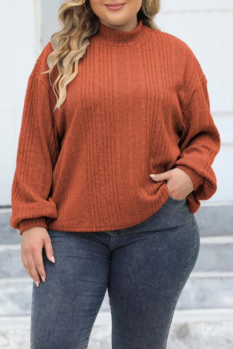 Casual Solid Basic Turtleneck Plus Size Tops