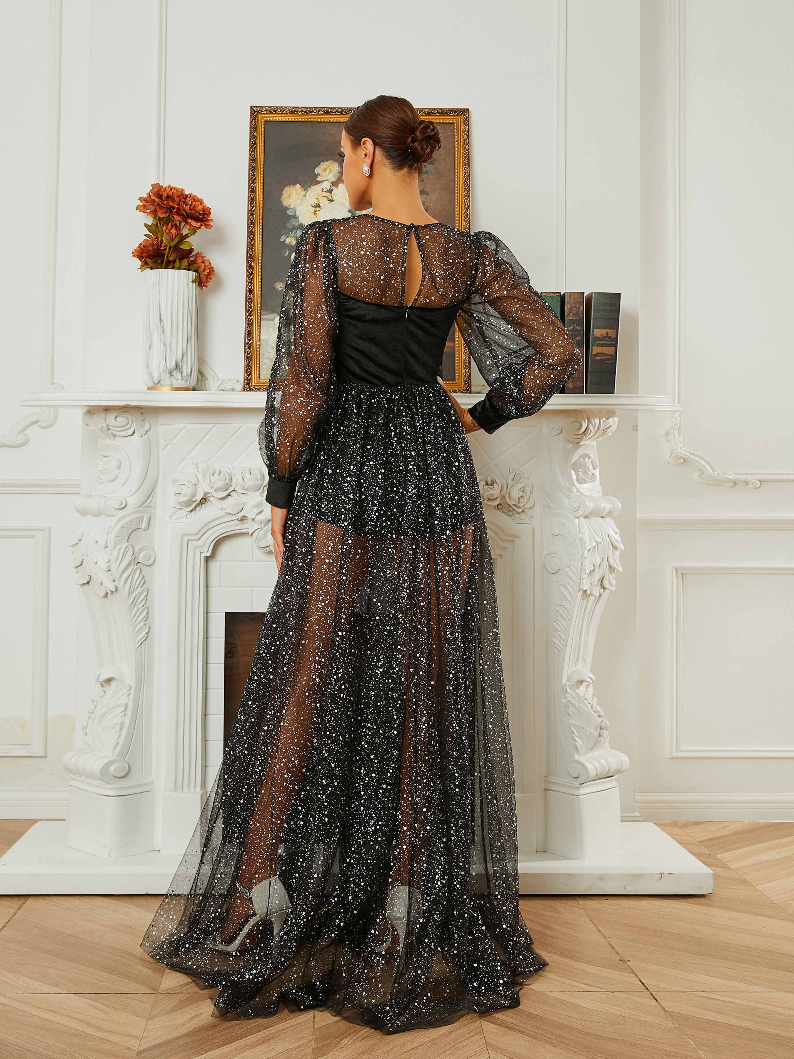 Crew Neck A-Line Panel Long Sleeve Evening Dress RH30652